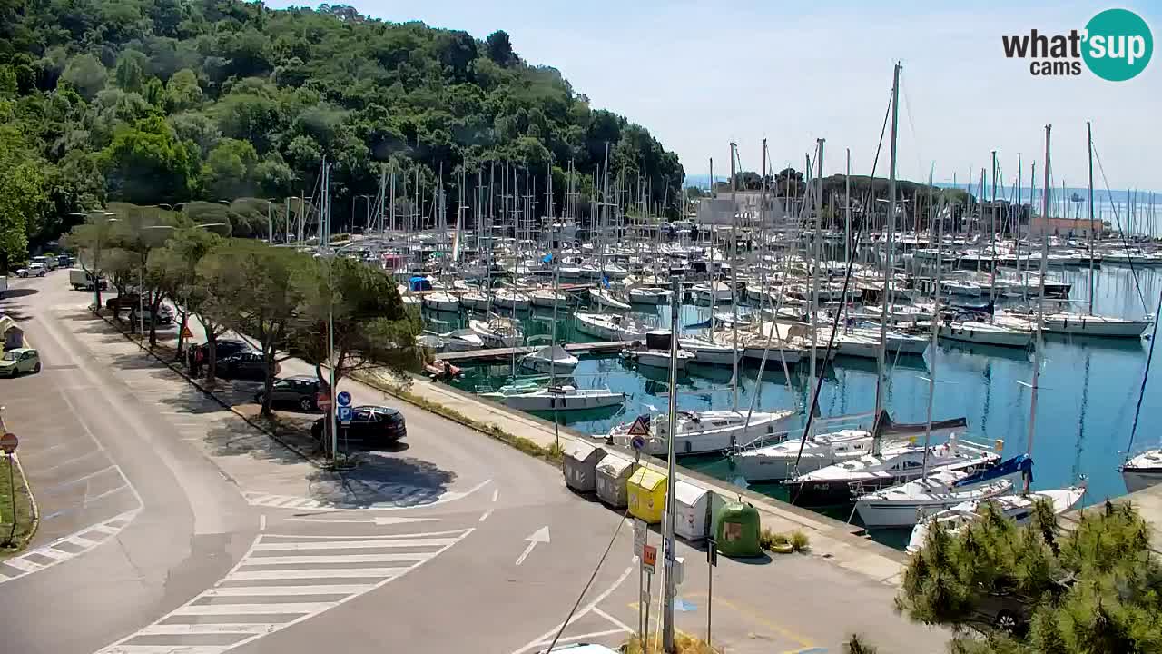 Webcam Sistiana – Marina and Bay Live View