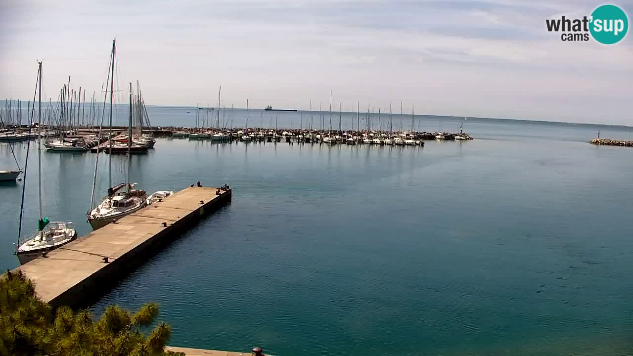Spletna kamera Sesljan (Sistiana) – Pogled na marino in zaliv