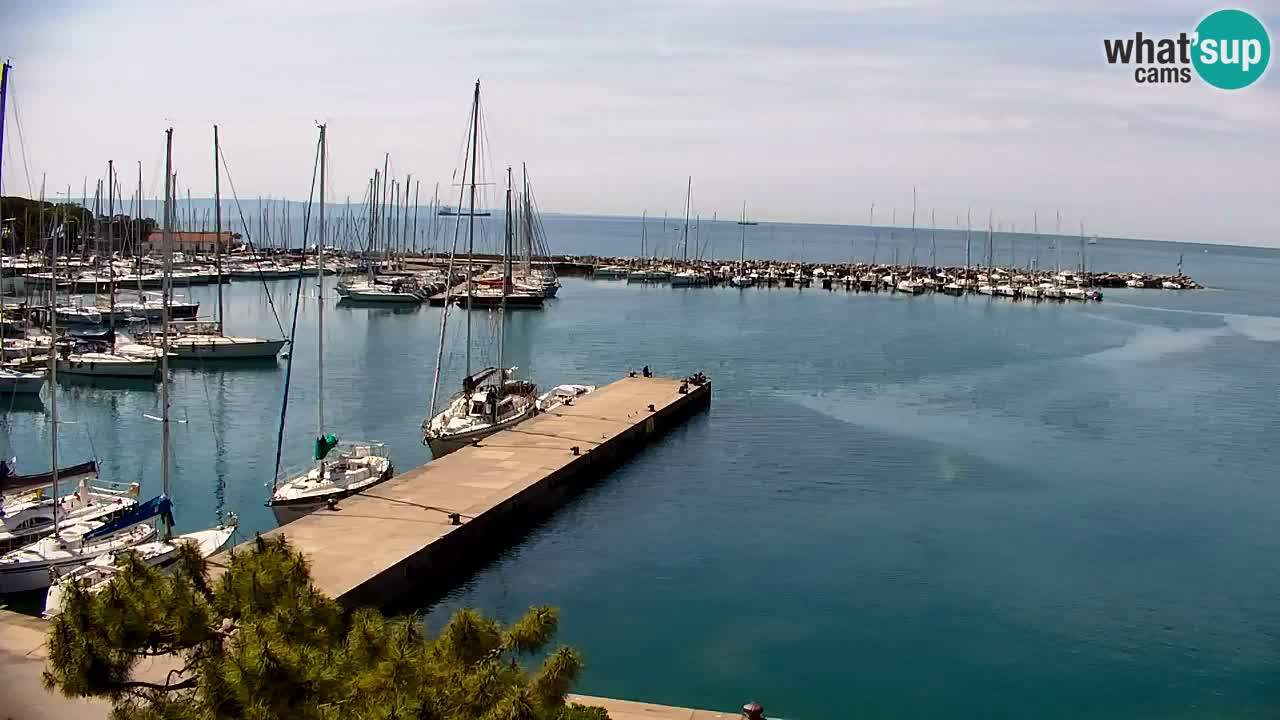 Webcam Sistiana – Vista sobre la marina y la bahía