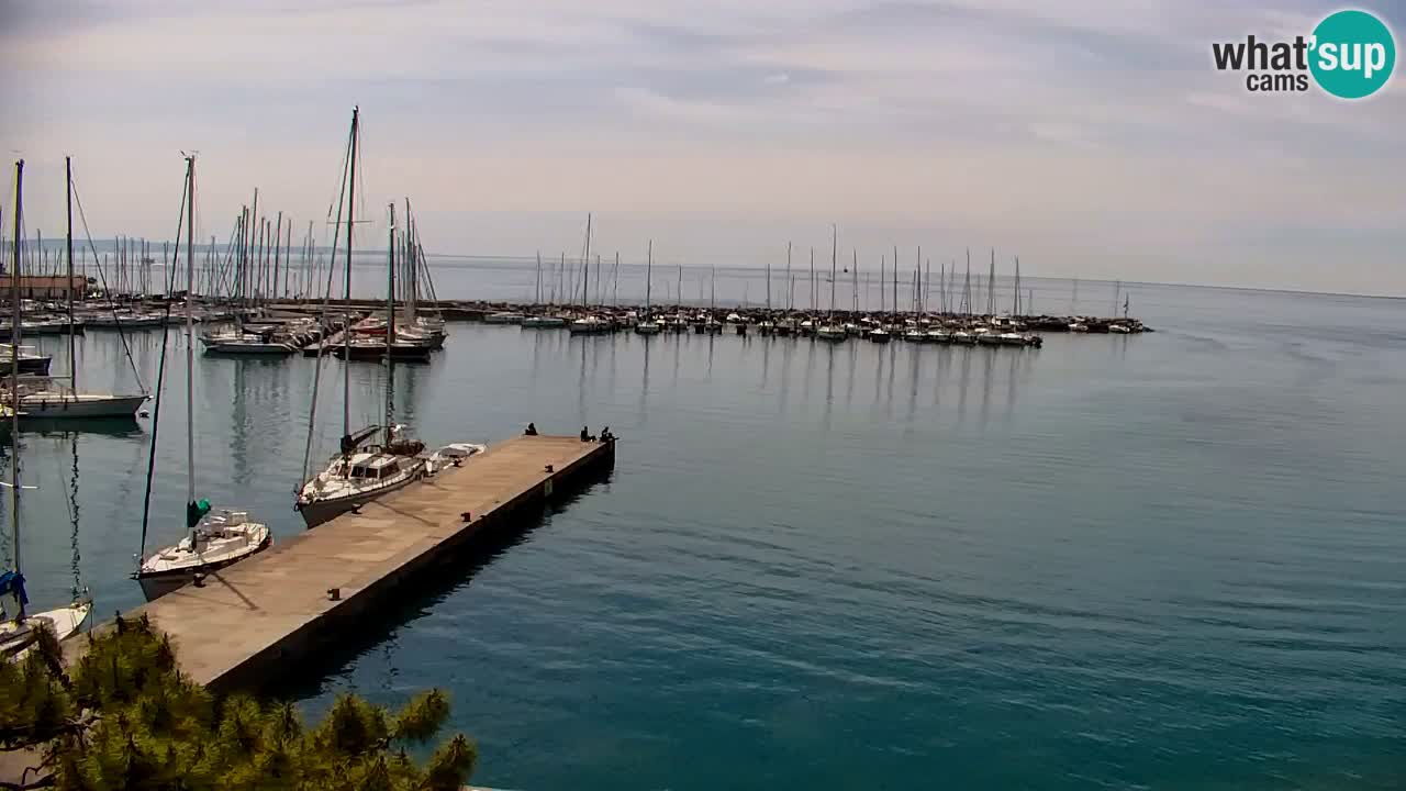 Webcam Sistiana – Marina and Bay Live View