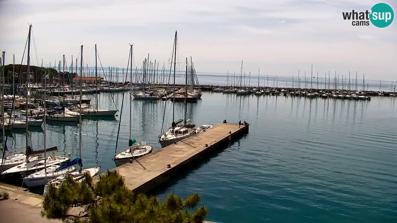 Webcam Sistiana – Marina and Bay Live View