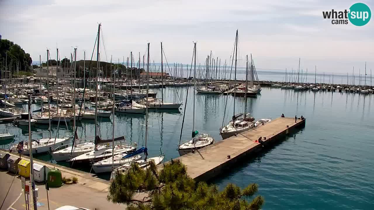 Webcam Sistiana – Pogled na marinu i zaljev