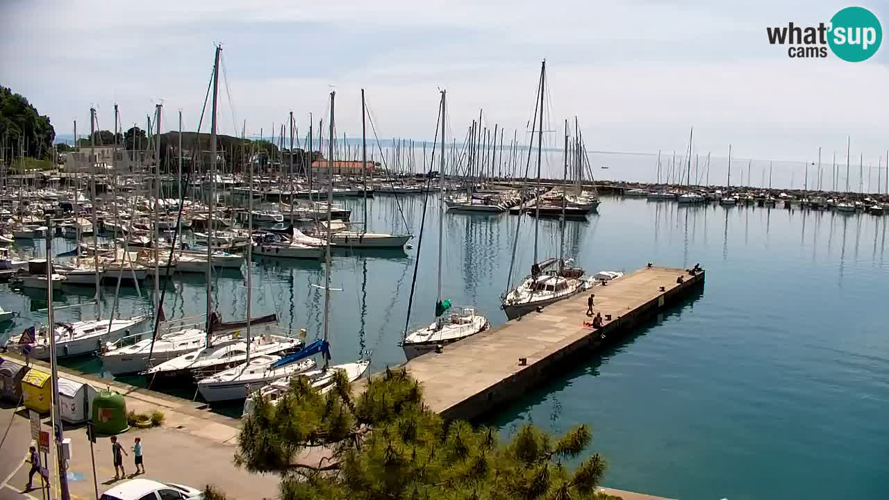 Webcam Sistiana – Marina and Bay Live View