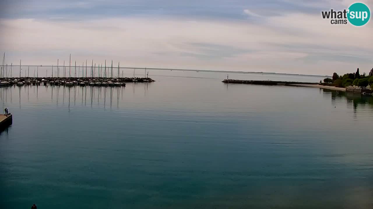 Webcam Sistiana – Vue sur la marina et la baie