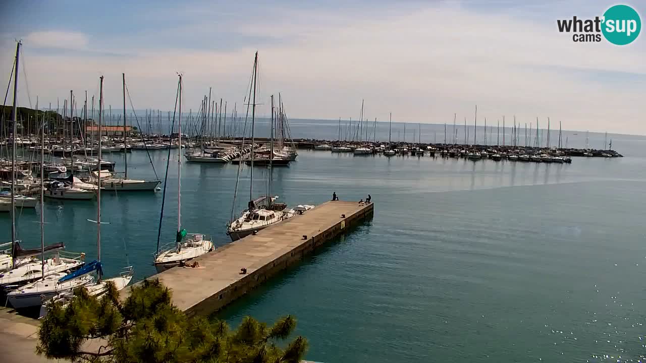 Webcam Sistiana – Vista sobre la marina y la bahía