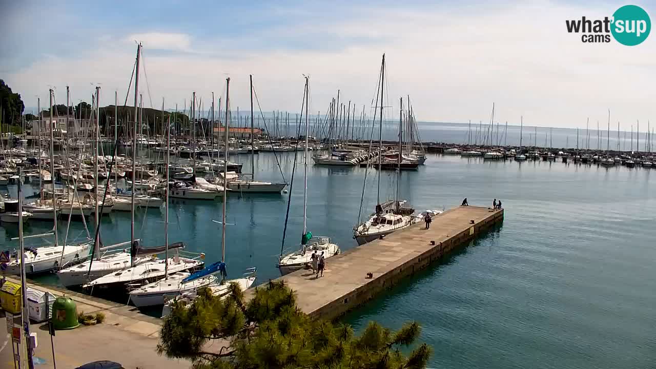 Webcam Sistiana – Pogled na marinu i zaljev