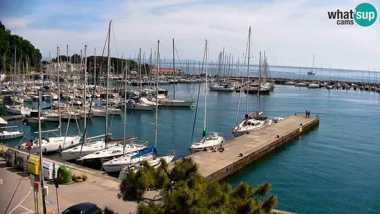 Webcam Sistiana – Marina and Bay Live View