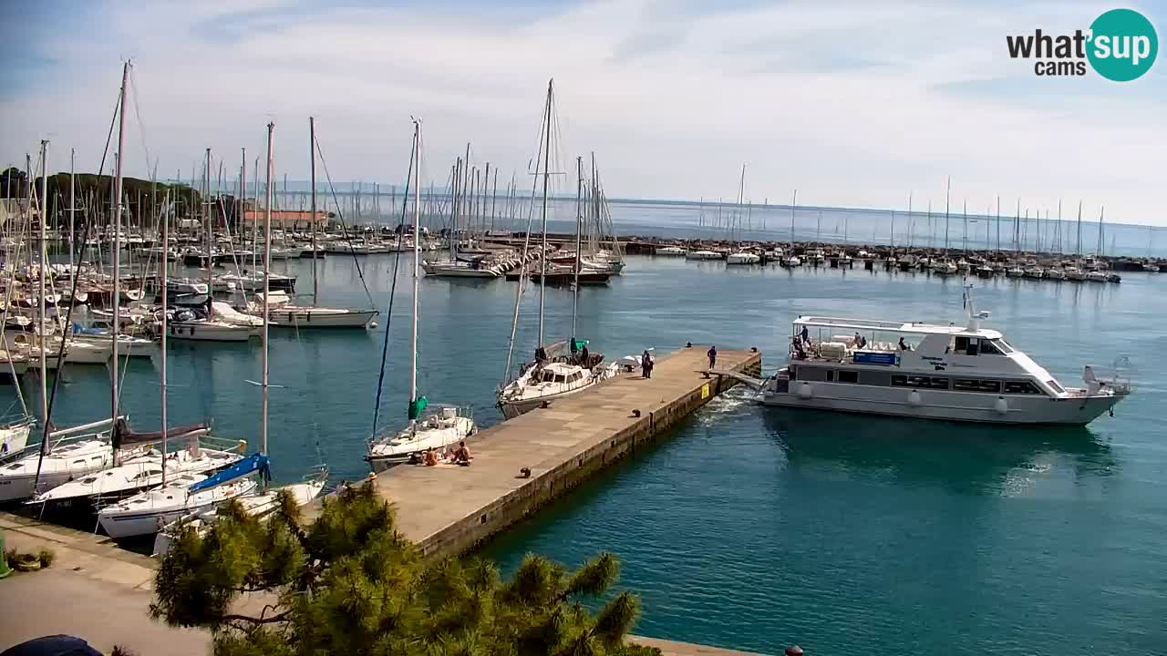 Webcam Sistiana – Vista sulla marina e sulla baia