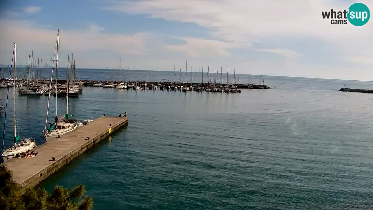 Webcam Sistiana – Pogled na marinu i zaljev