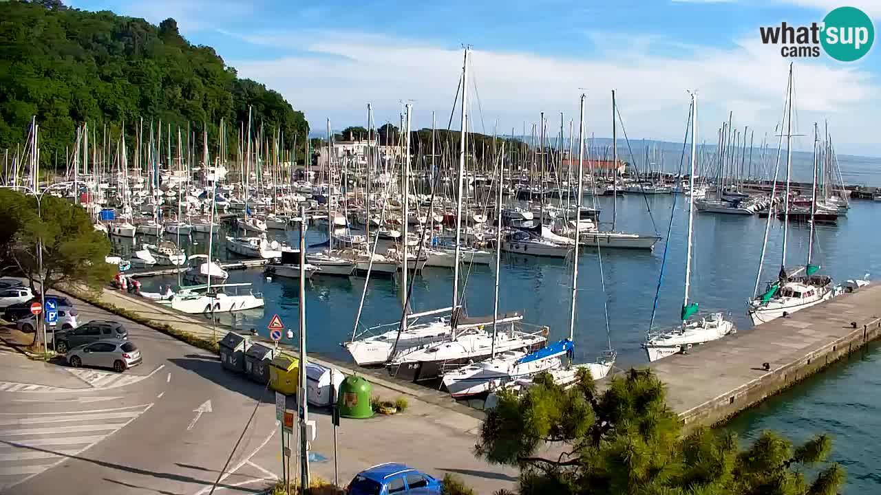 Spletna kamera Sesljan (Sistiana) – Pogled na marino in zaliv