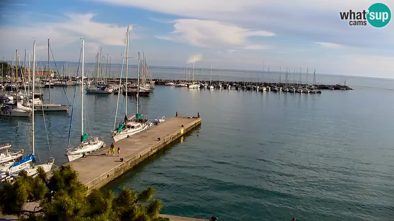 Webcam Sistiana – Marina and Bay Live View