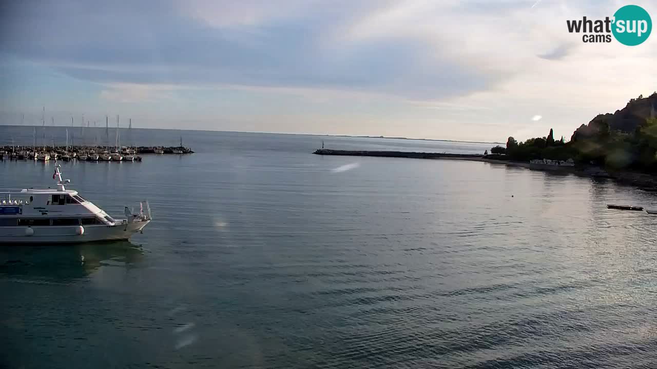 Webcam Sistiana – Marina and Bay Live View