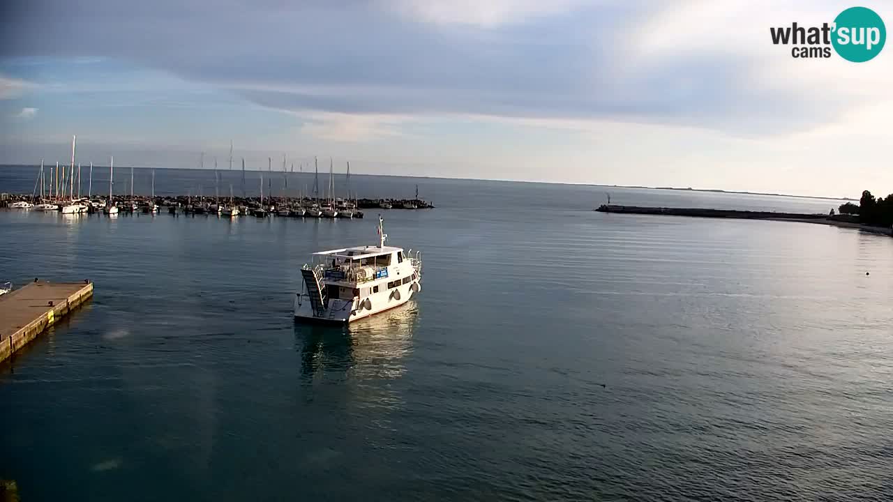 Webcam Sistiana – Vue sur la marina et la baie