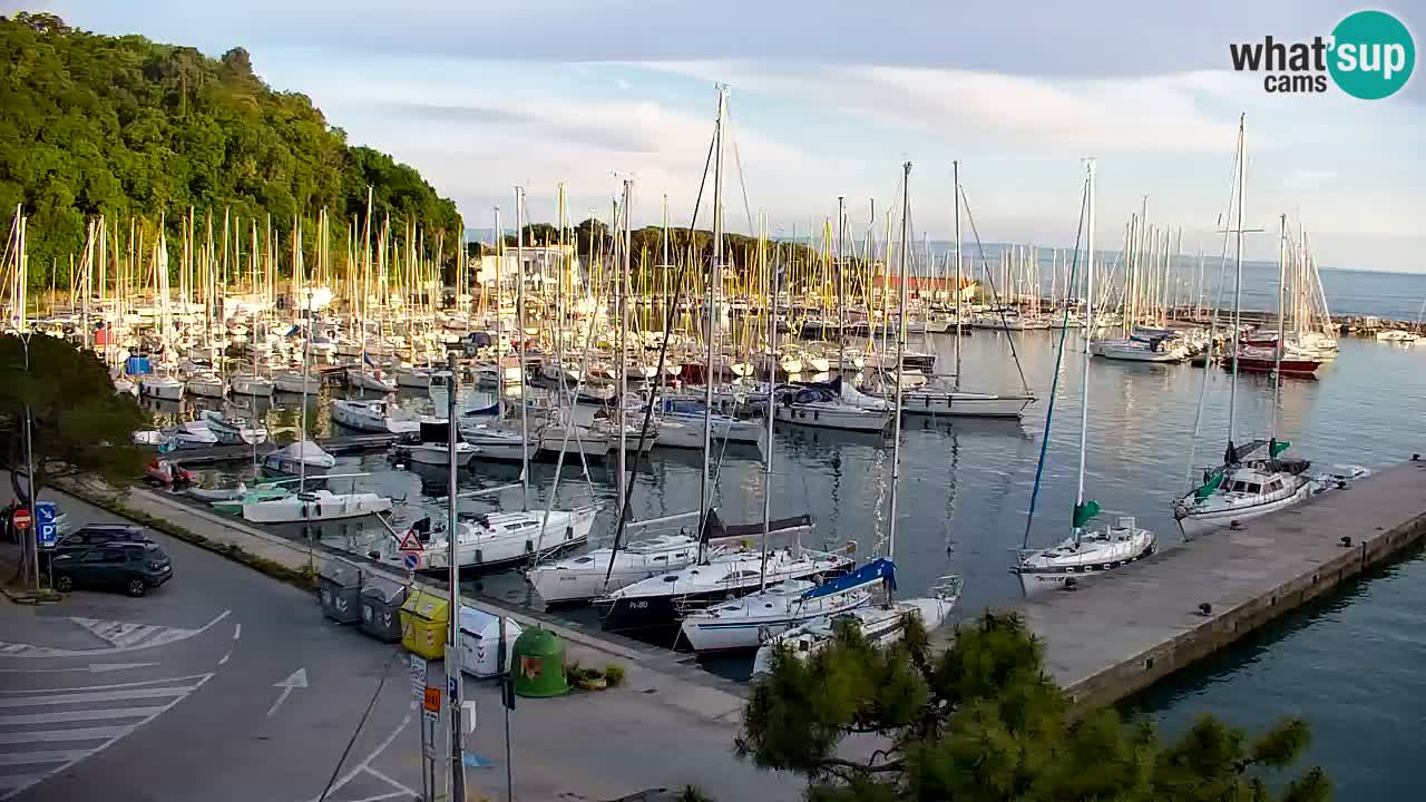 Webcam Sistiana – Pogled na marinu i zaljev