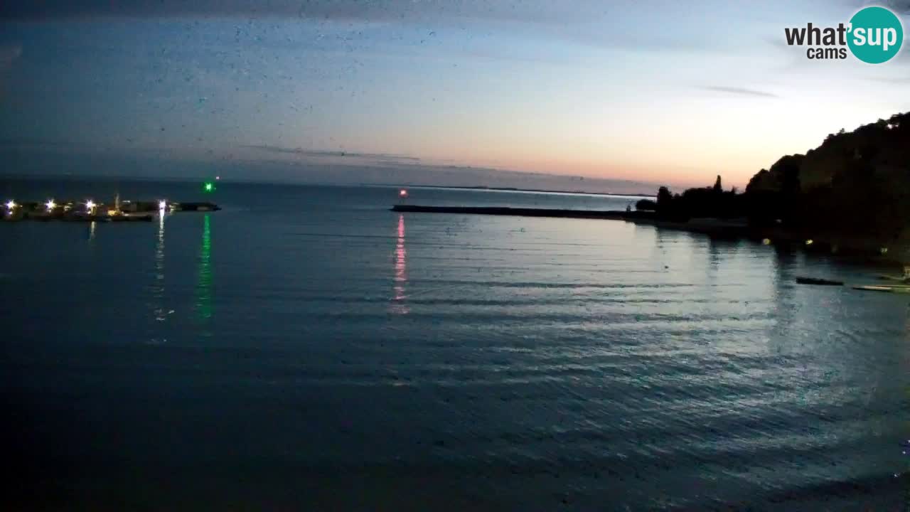 Webcam Sistiana – Marina and Bay Live View