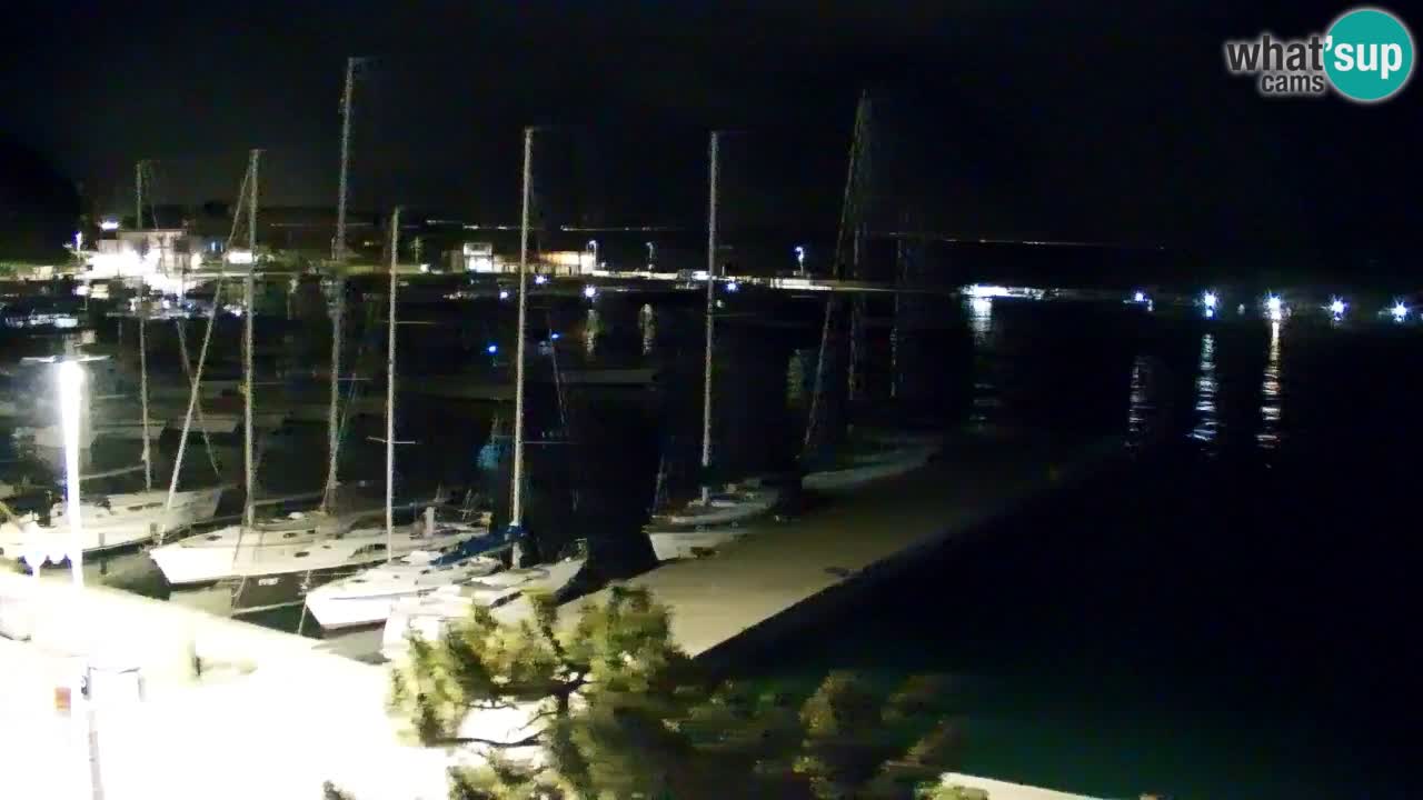 Webcam Sistiana – Marina and Bay Live View