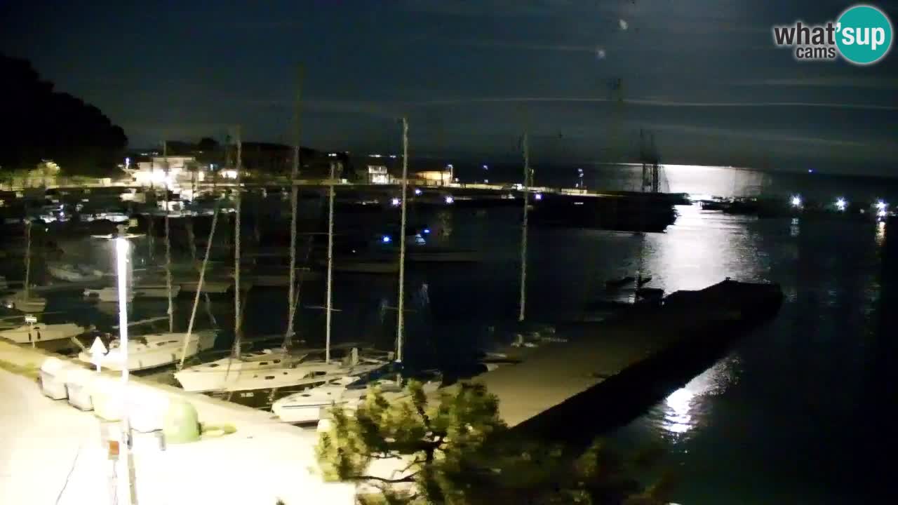 Spletna kamera Sesljan (Sistiana) – Pogled na marino in zaliv