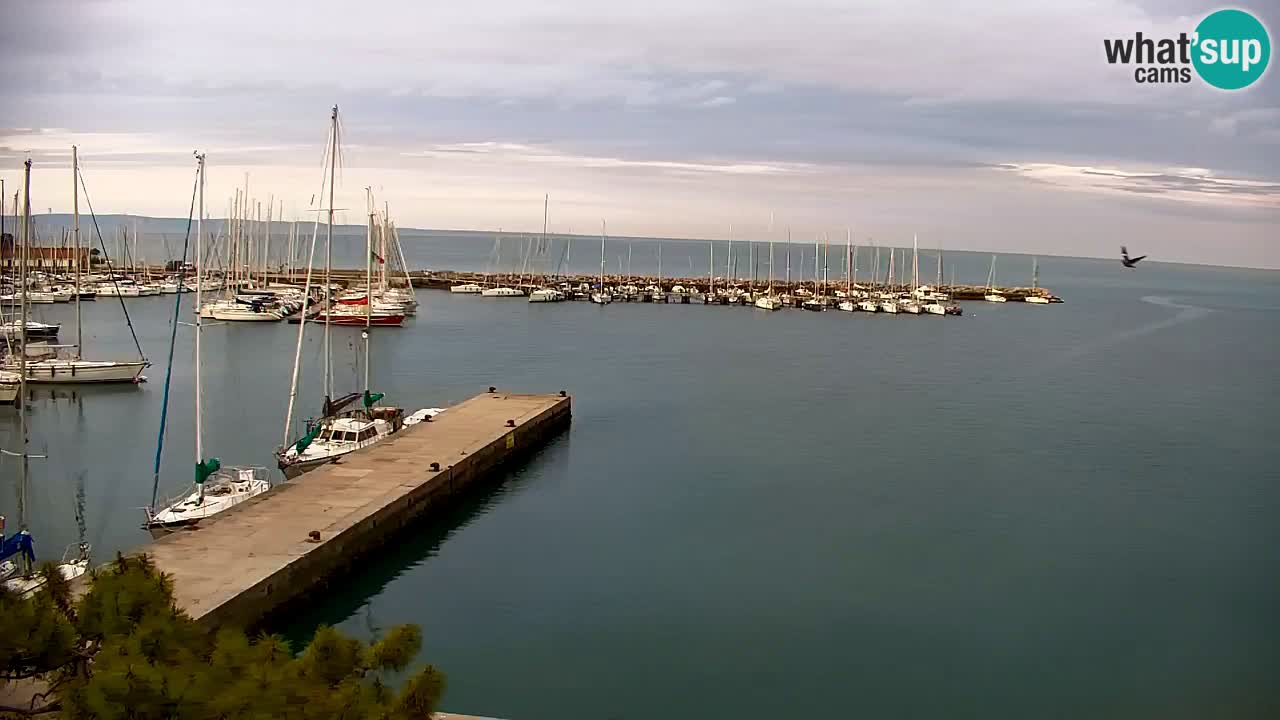 Spletna kamera Sesljan (Sistiana) – Pogled na marino in zaliv
