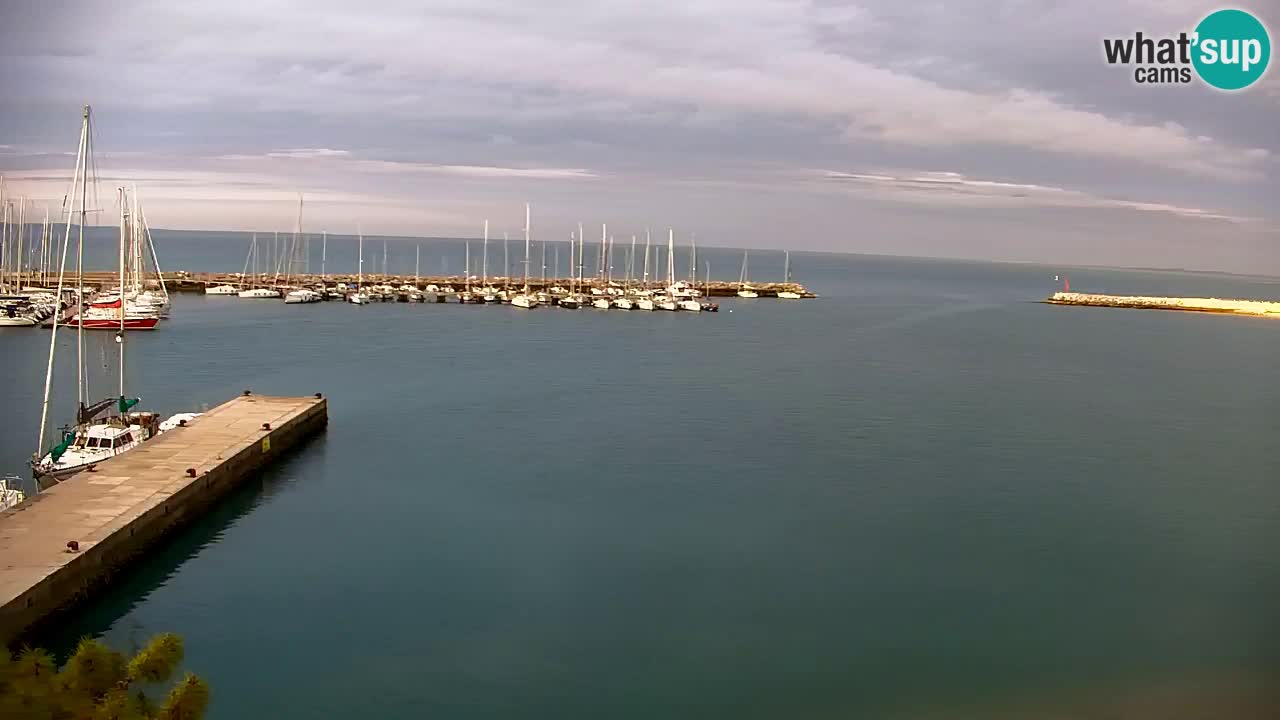 Webcam Sistiana – Marina and Bay Live View
