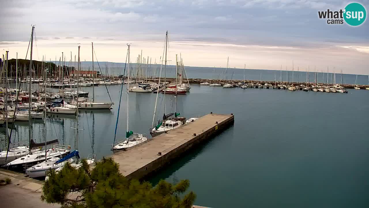 Webcam Sistiana – Marina and Bay Live View