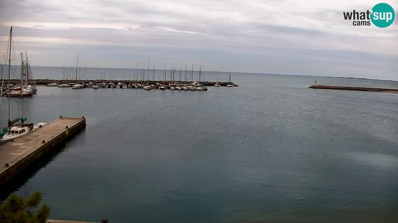 Webcam Sistiana – Marina and Bay Live View
