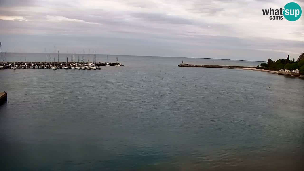 Webcam Sistiana – Pogled na marinu i zaljev