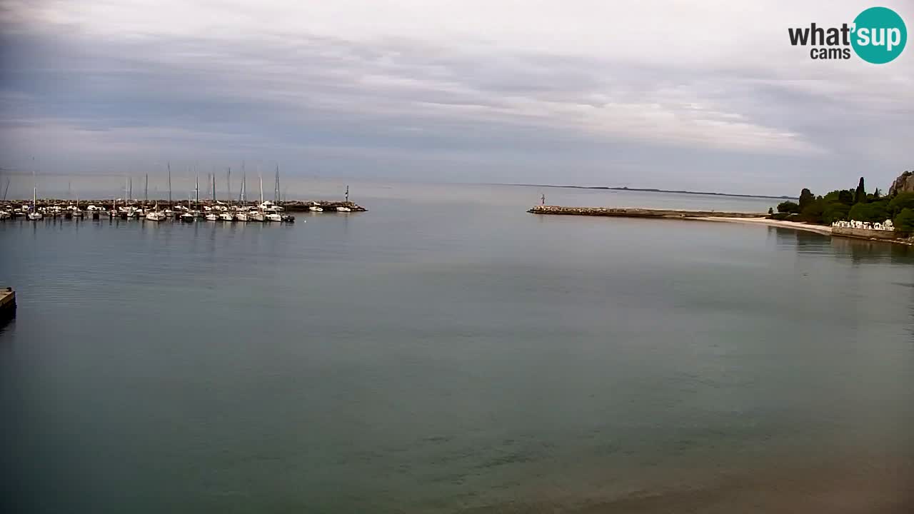 Webcam Sistiana – Vista sulla marina e sulla baia