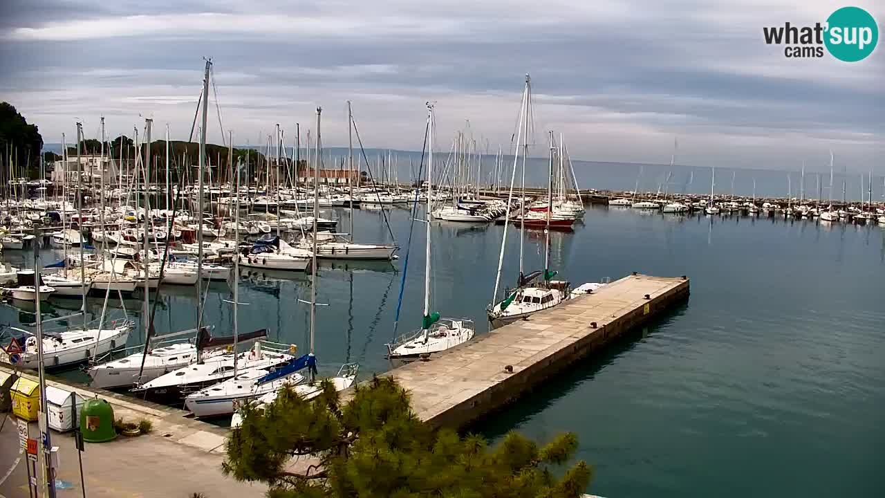 Webcam Sistiana – Marina and Bay Live View
