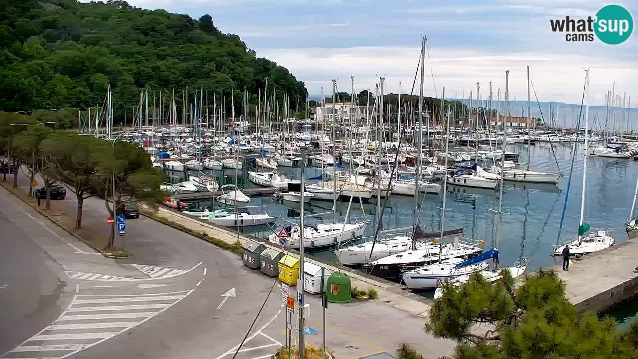 Spletna kamera Sesljan (Sistiana) – Pogled na marino in zaliv