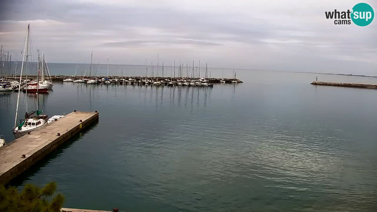 Webcam Sistiana – Pogled na marinu i zaljev