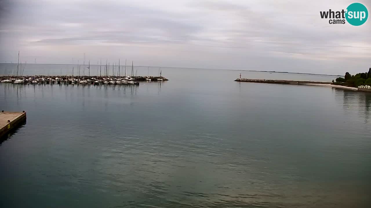 Spletna kamera Sesljan (Sistiana) – Pogled na marino in zaliv