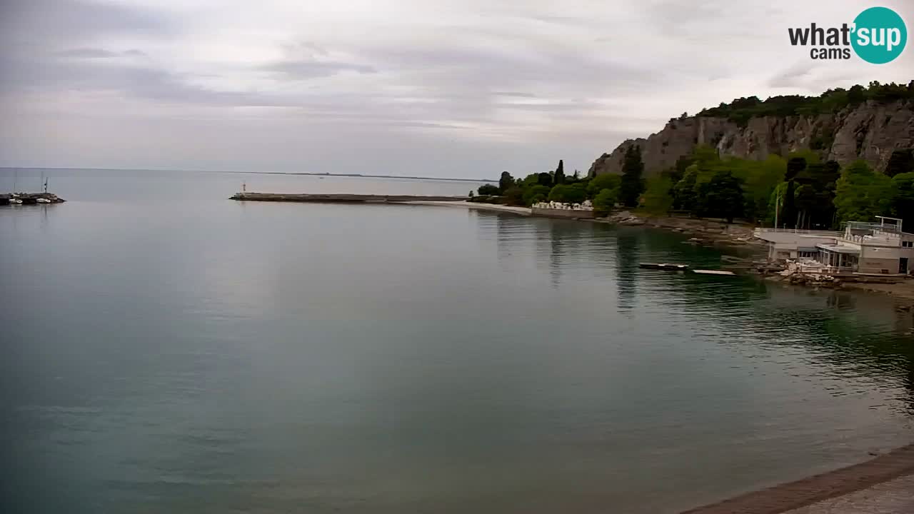Webcam Sistiana – Marina and Bay Live View