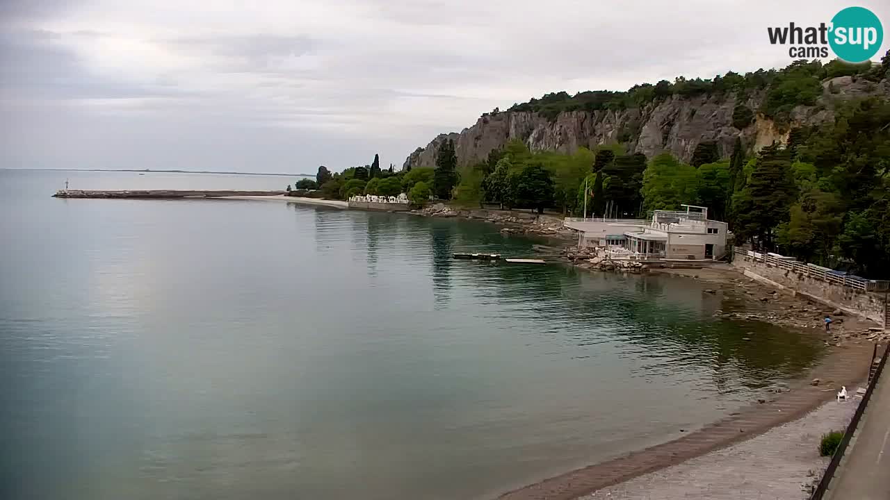 Spletna kamera Sesljan (Sistiana) – Pogled na marino in zaliv