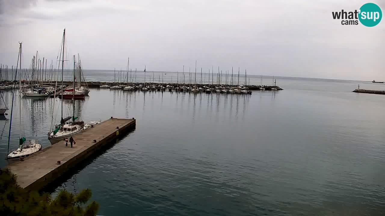 Spletna kamera Sesljan (Sistiana) – Pogled na marino in zaliv