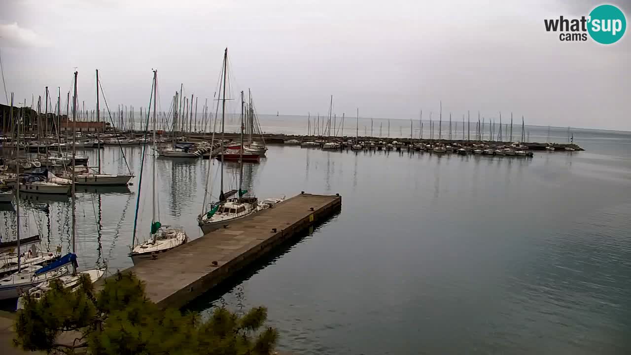 Webcam Sistiana – Marina and Bay Live View