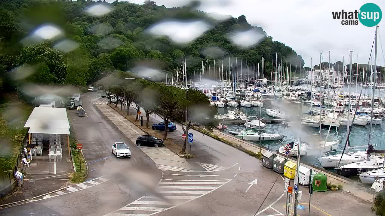 Webcam Sistiana – Marina and Bay Live View