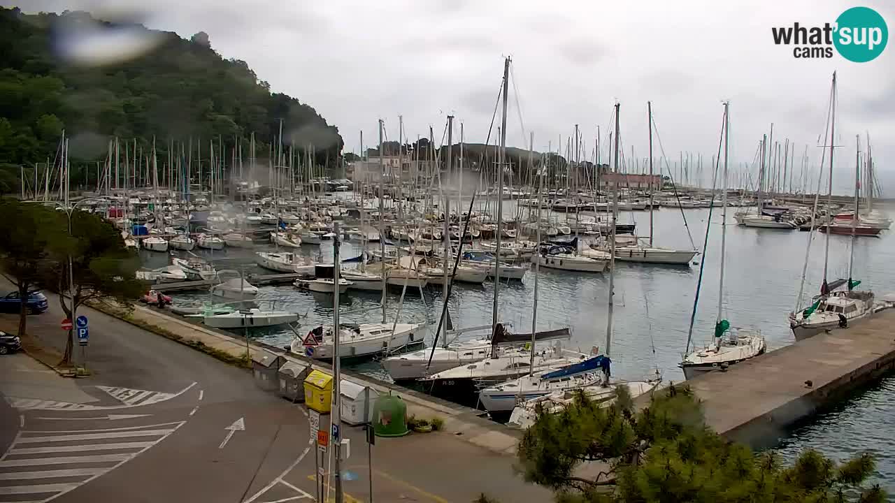 Webcam Sistiana – Marina and Bay Live View