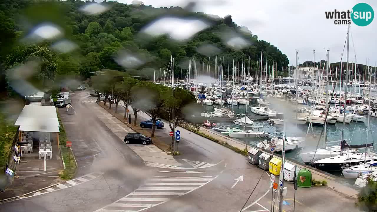 Webcam Sistiana – Pogled na marinu i zaljev