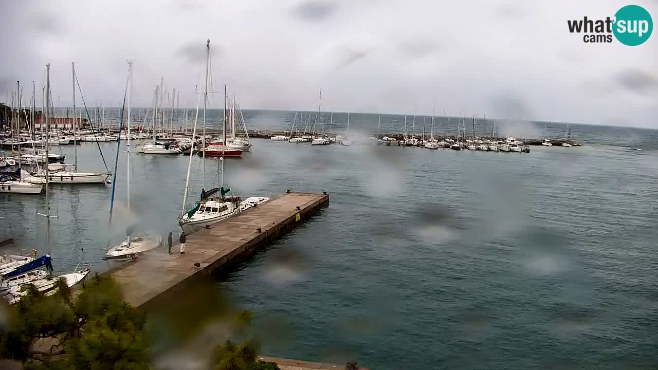 Webcam Sistiana – Pogled na marinu i zaljev