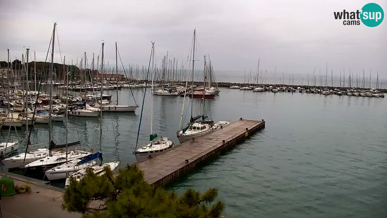 Webcam Sistiana – Pogled na marinu i zaljev