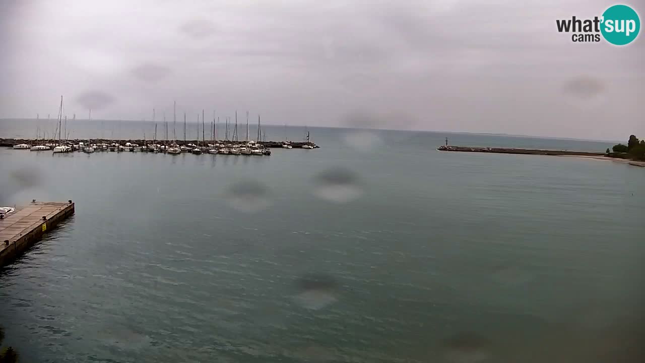Webcam Sistiana – Marina and Bay Live View