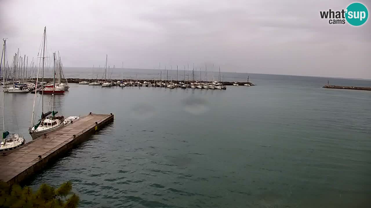 Webcam Sistiana – Blick auf Marina und Bucht