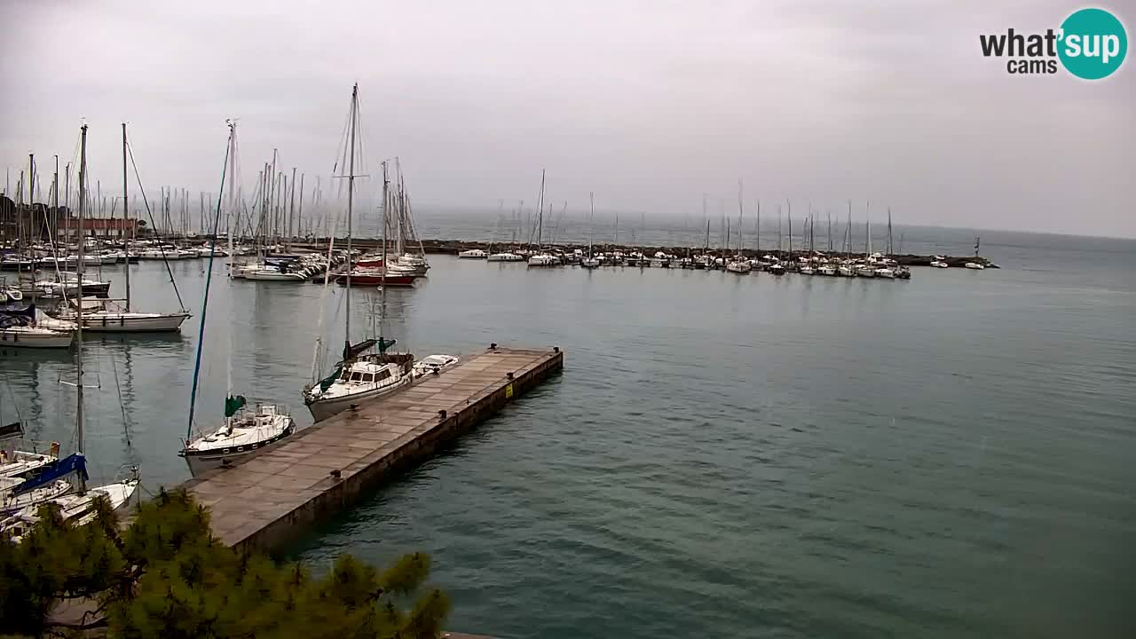 Webcam Sistiana – Vista sobre la marina y la bahía