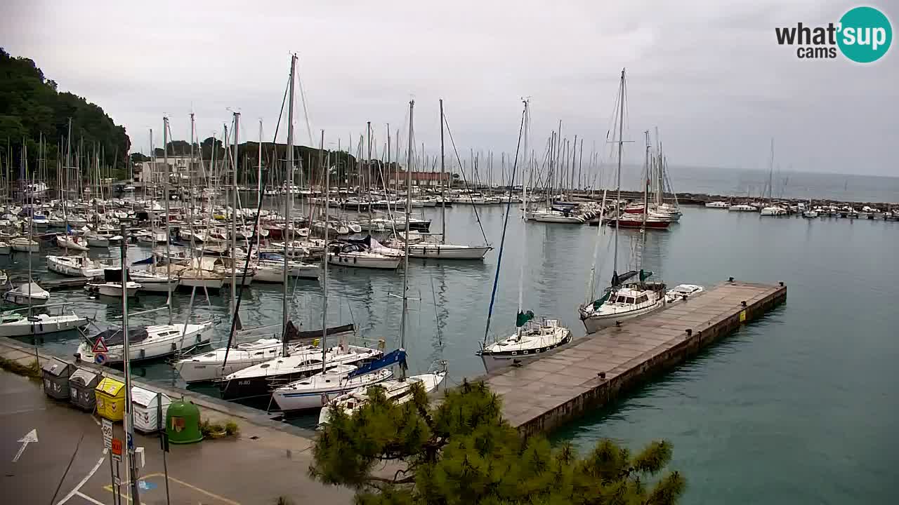 Webcam Sistiana – Vista sobre la marina y la bahía