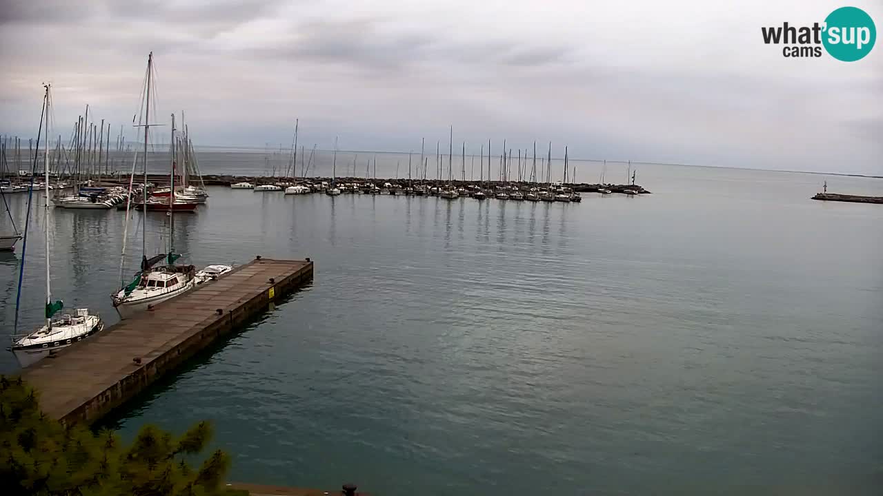 Webcam Sistiana – Blick auf Marina und Bucht