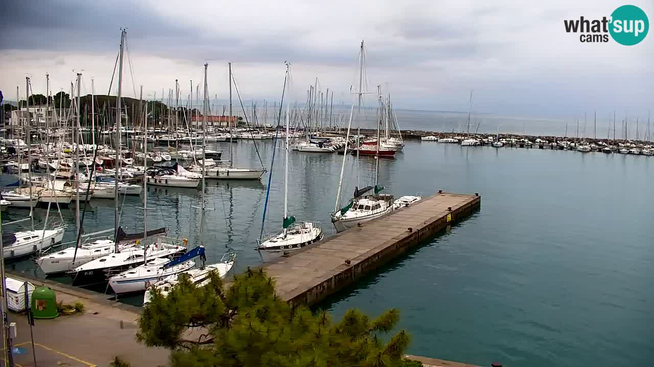 Webcam Sistiana – Marina and Bay Live View