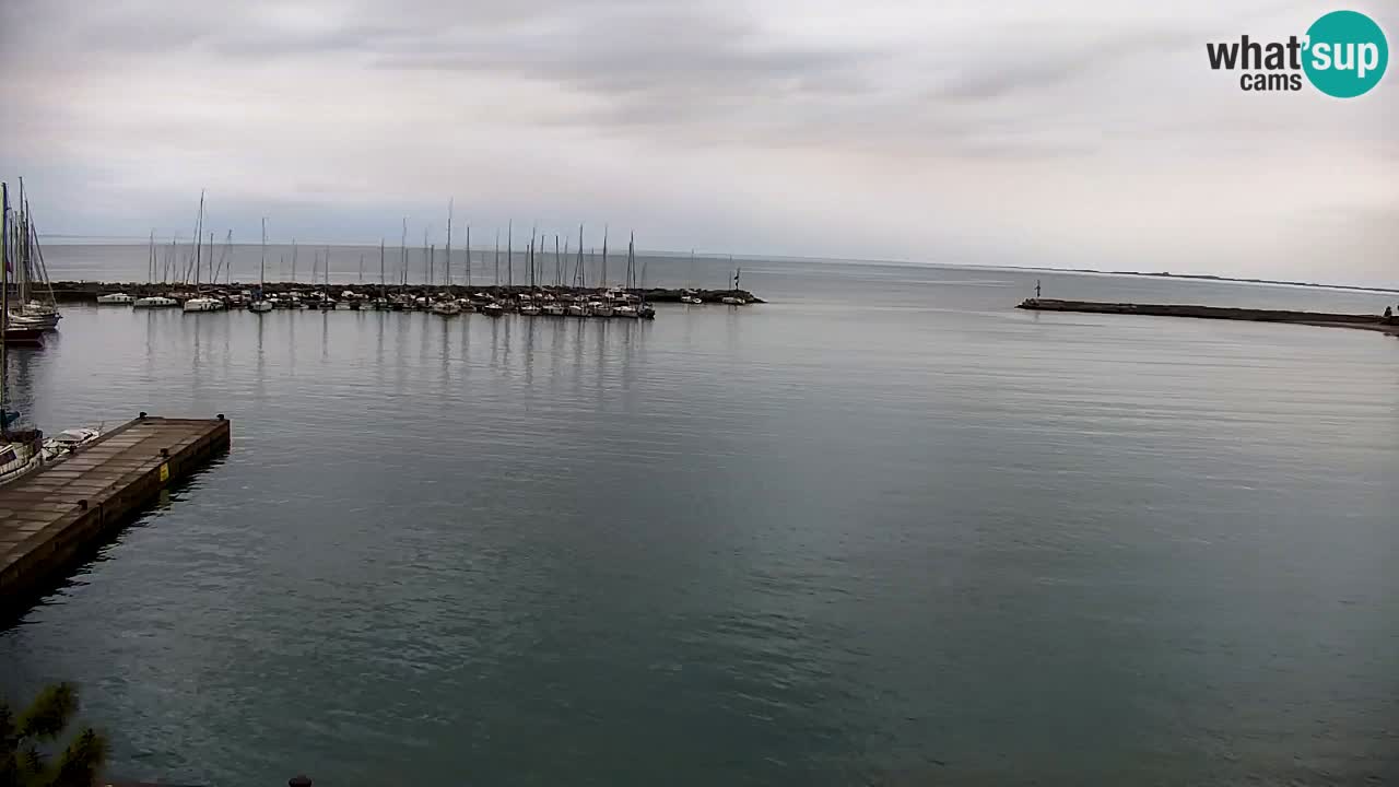 Webcam Sistiana – Vue sur la marina et la baie