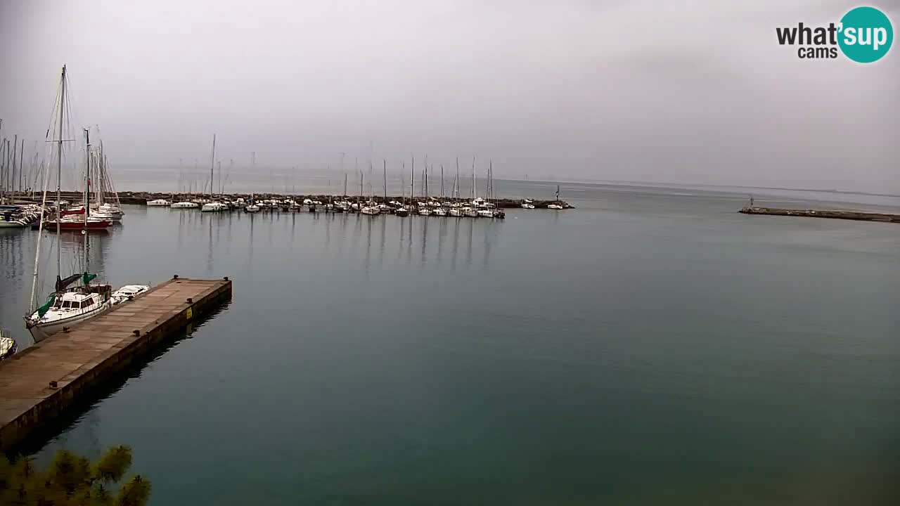 Webcam Sistiana – Vista sulla marina e sulla baia
