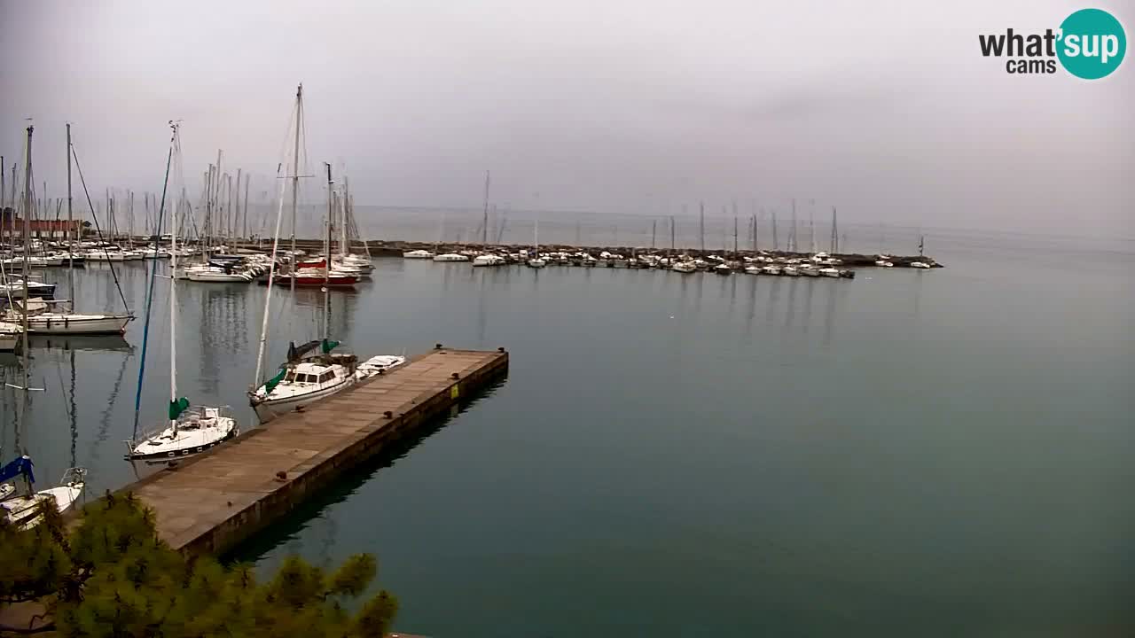 Webcam Sistiana – Pogled na marinu i zaljev