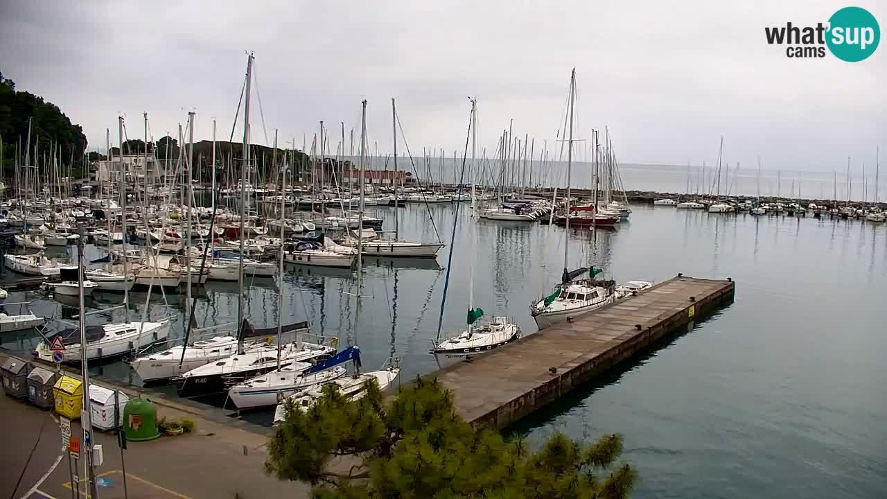 Webcam Sistiana – Marina and Bay Live View